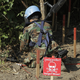 Illustration for article titled The Newest Weapon in the Fight Against Land Mines Could Be...Plants